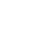 Twitter Icon in Footer