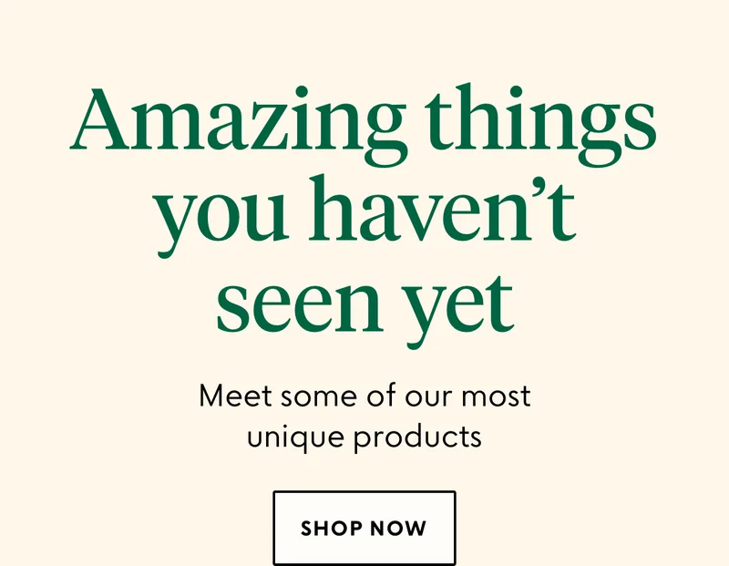 shop now