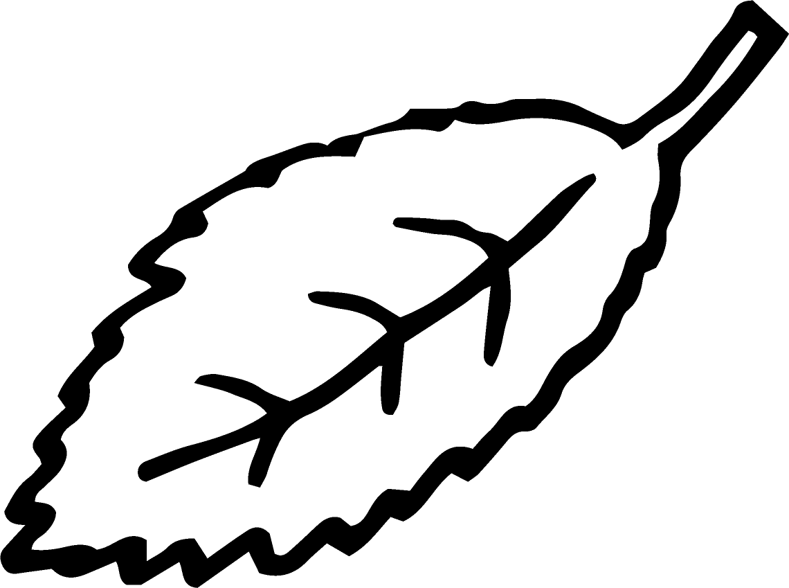 A line drawing of leaf