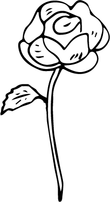 A line drawing of rose