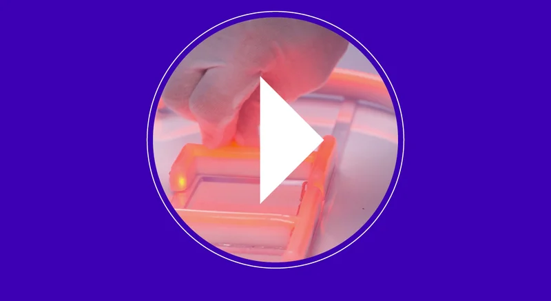 It's Back: Your Wishlist Neon Sign