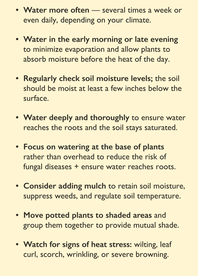 Water more often and watch for signs of thirst and heat stress.
