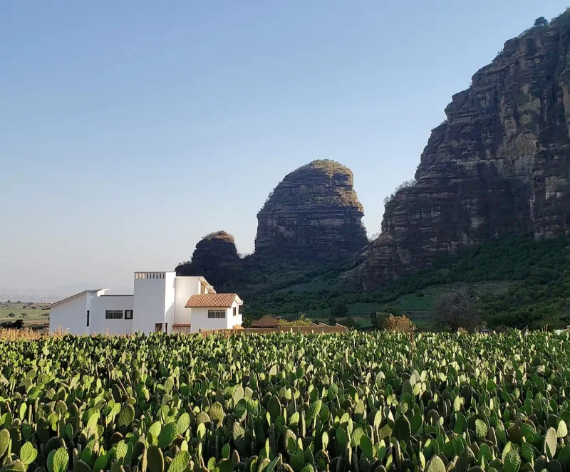 A white house with a light brown roof sits amid neverending green cacti. Surreal rock formations tower behind the house.