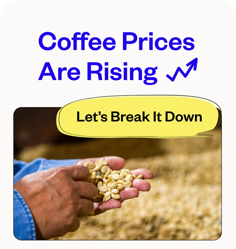 Coffee Prices are Rising Let's break it down Coffee Prices are Rising Let's break it down