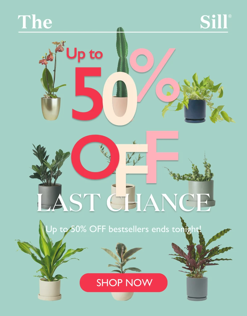 Up To 50% OFF Ends Tonight! Shop Now