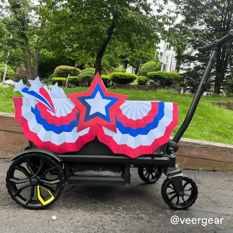 veer instagram