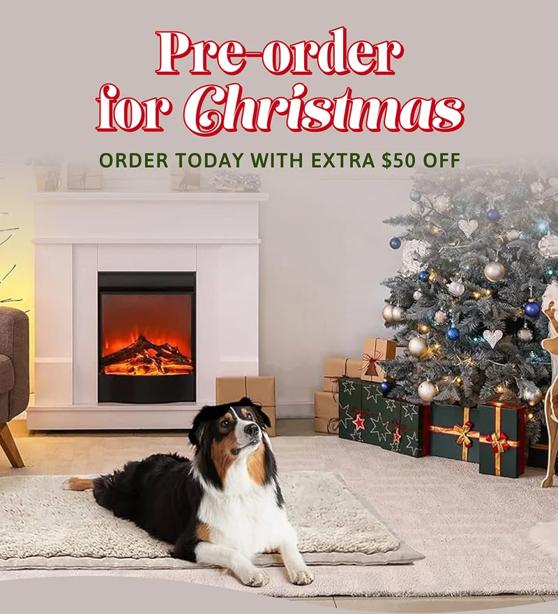 Pre-order for Christmas: Extra $50 off today