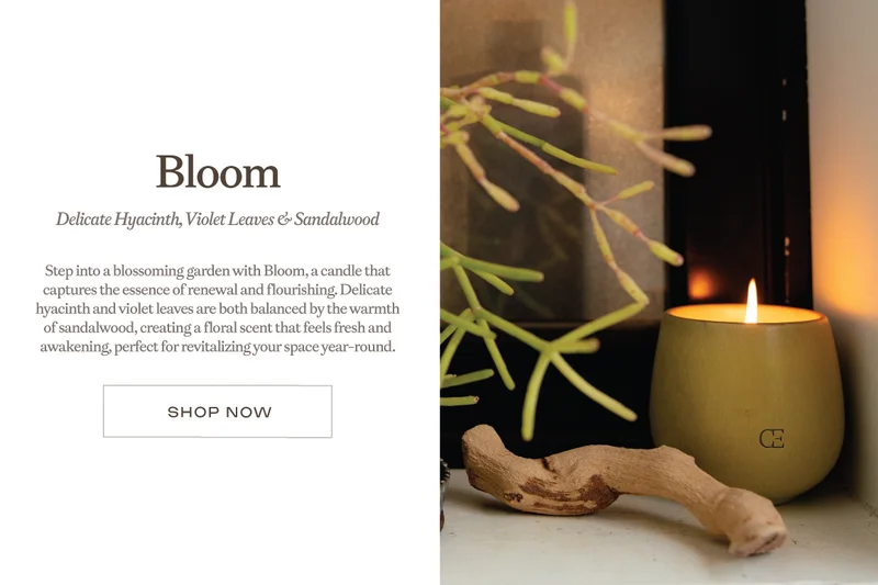Shop BLOOM: delicate hyacinth, violet leaves, and sandalwood