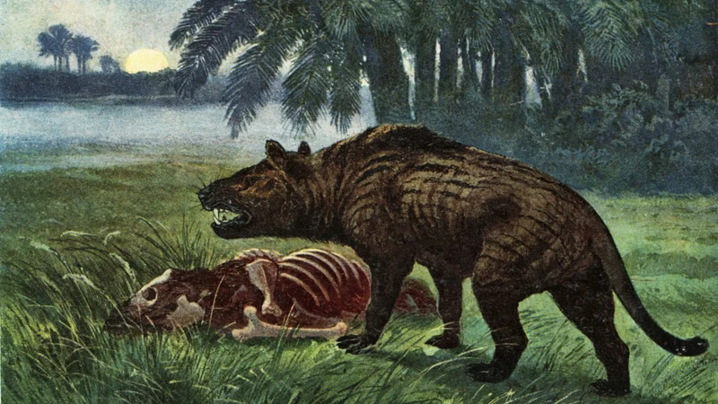 A species of this family as depicted by Heinrich Harder in Wilhelm Bolsche’s Tiere der Urwelt (Animals of the Prehistoric World). A new fossil from this extinct predator gives scientists clues to how it lived and hunted.