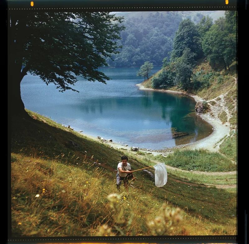 My father, Rustam Effendi, shown here at Maralgöl Lake in western Azerbaijan, was an esteemed Soviet lepidopterist who hunted butterflies and moths in the borderlands between Armenia and Azerbaijan, an area home to a species that was later named in his honor, Satyrus effendi.