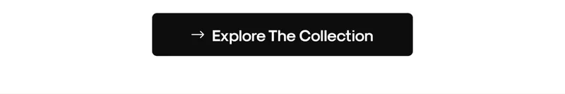 Explore The Collection