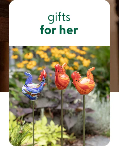 Gifts for her