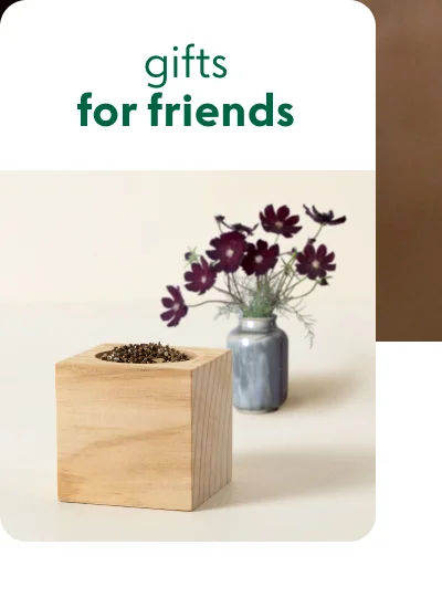 Gifts for friends