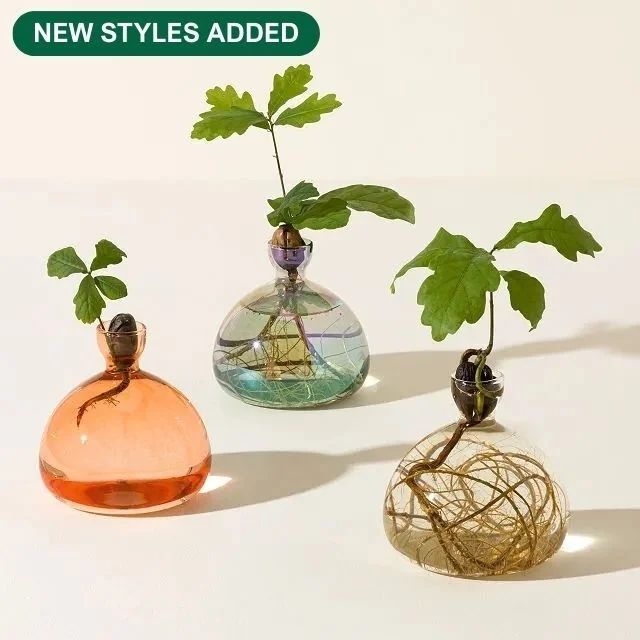 acorn-vase