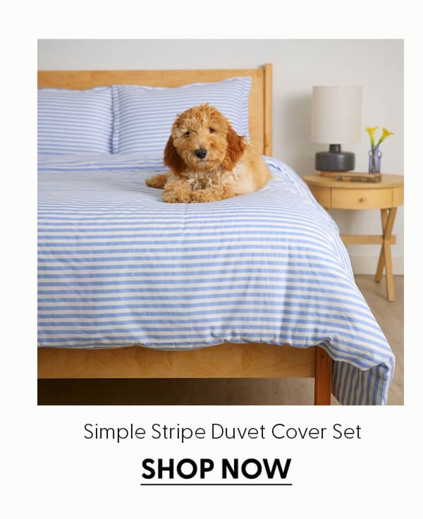 Simple Stripe Brushed Cotton Duvet Cover Set