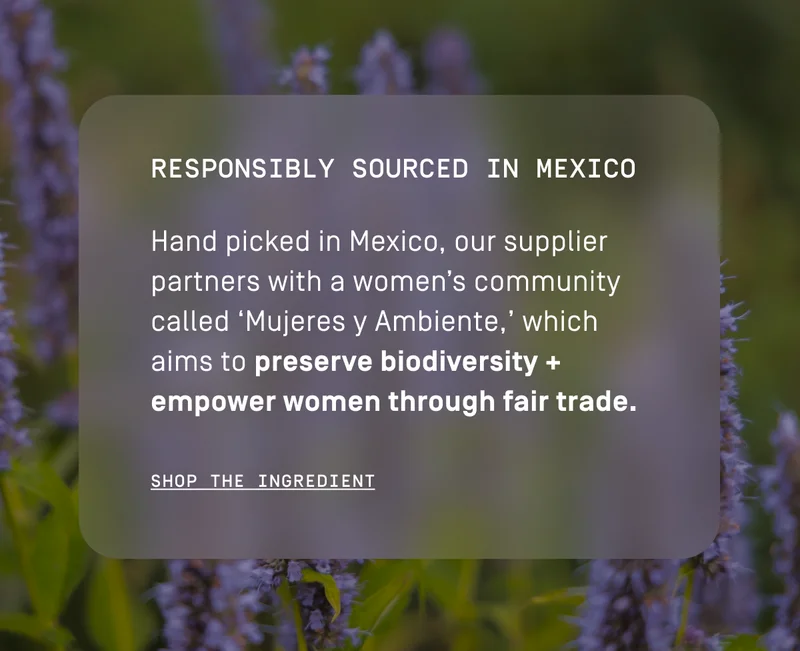 Responsibly sourced in Mexico | Shop the ingredient