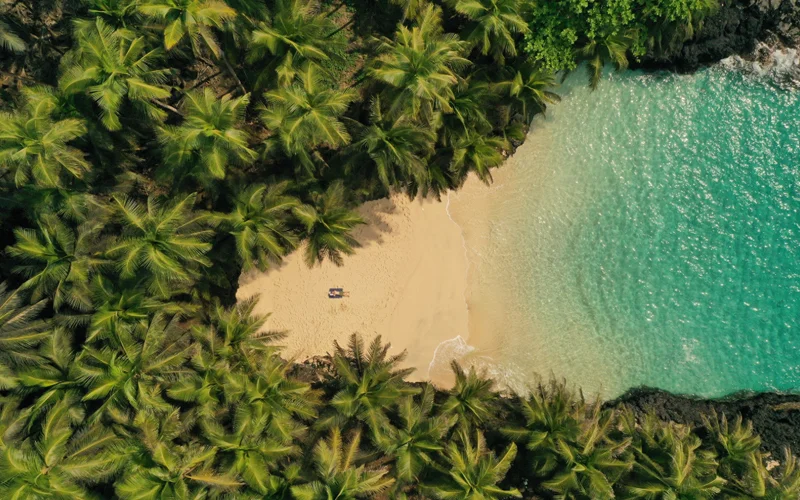 With the seas a refuge for marine life and endemic flora and fauna on land, the São Tomé and Príncipe have earned a new nickname: ‘Africa’s Galápagos’.