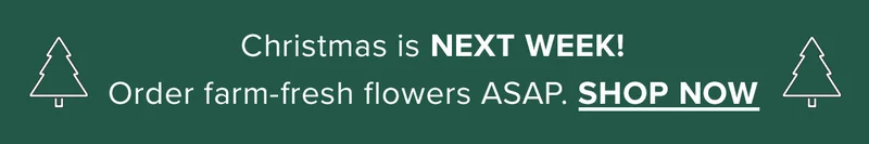 Christmas is NEXT WEEK! Order Farm-Fresh Flowers ASAP. Shop Now.