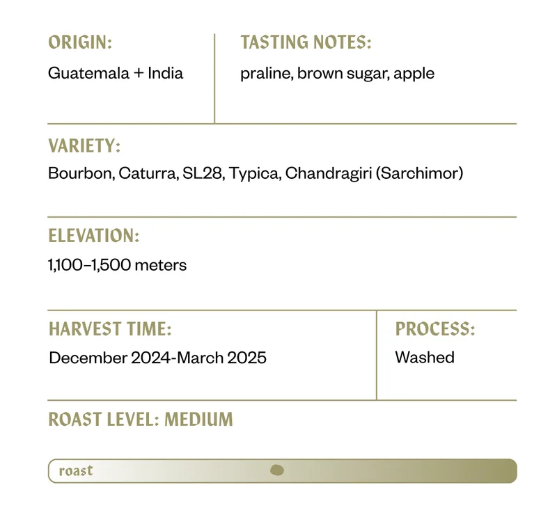 Process: Washed Elevation: 1,100–1,500 meters Varieties: Bourbon, Caturra, SL28, Typica, Chandragiri (Sarchimor) Harvest Time: December 2024-March 2025 Roast Level: Medium