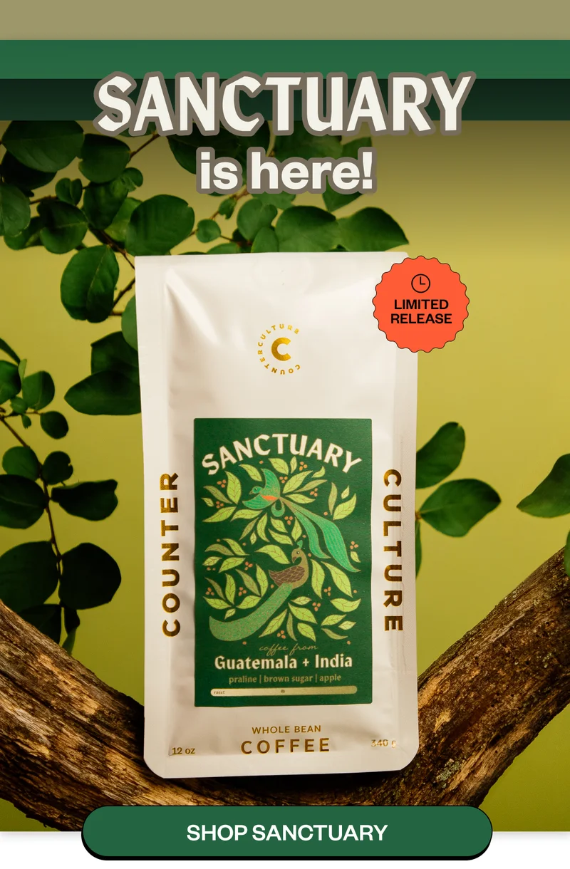 Sanctuary is here! Shop Sanctuary