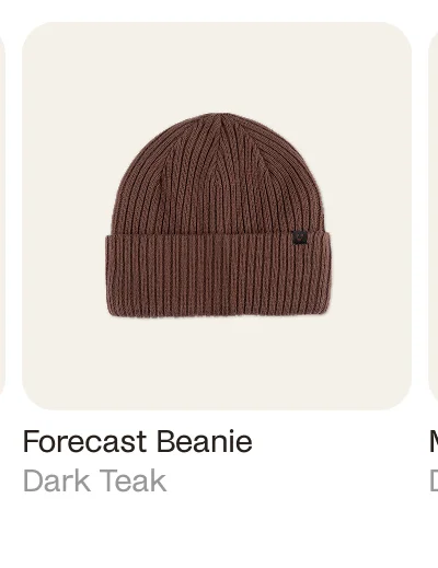 Forecast Beanie Dark Teak