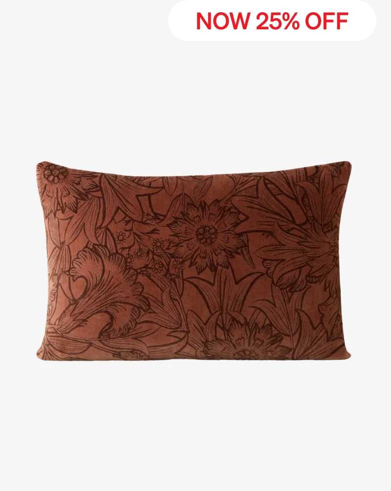 Shop Sandell Velvet Pillow
