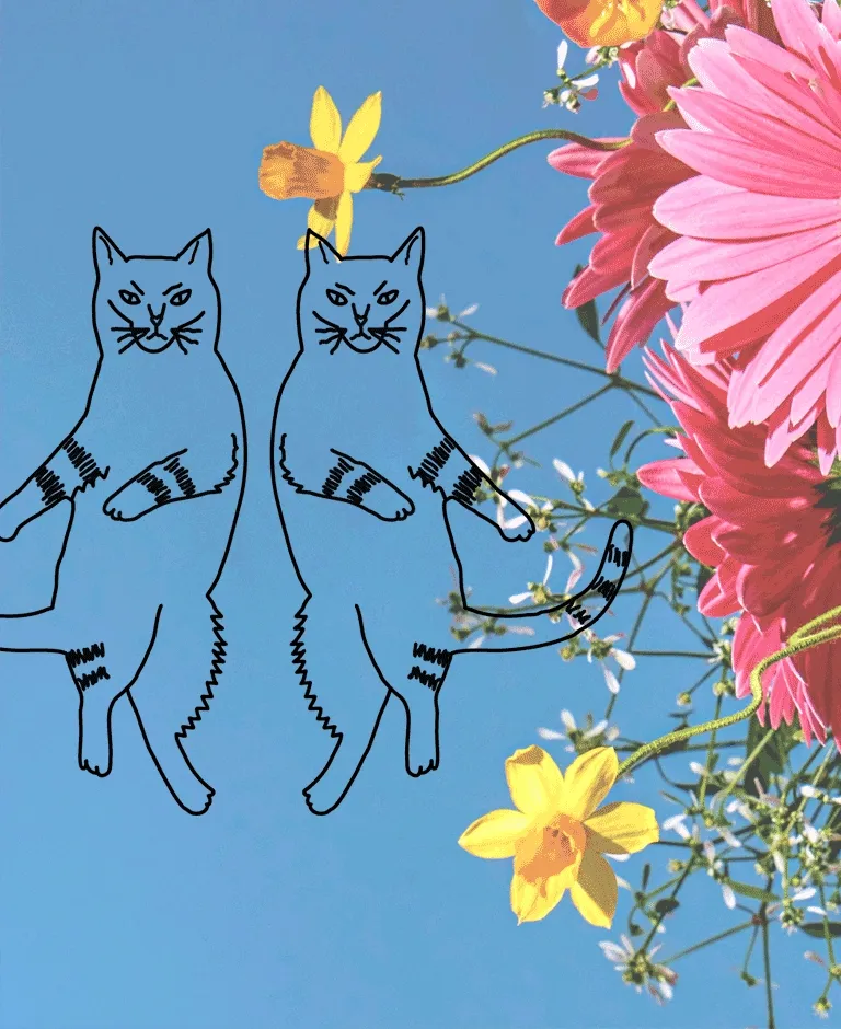 Two serious cats dancing from side to side