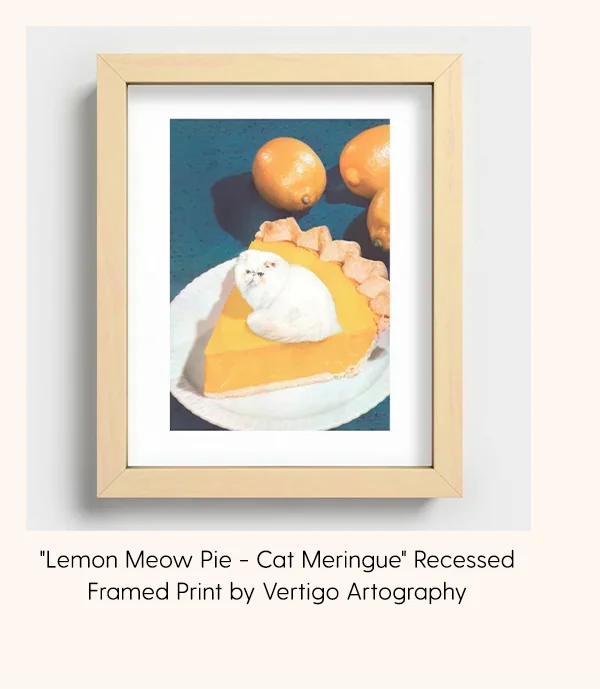 Lemon Meow Pie - Cat Meringue Recessed Framed Print by Vertigo Artography