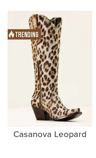 Casanova Leopard