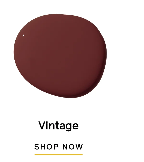 Vintage SHOP NOW