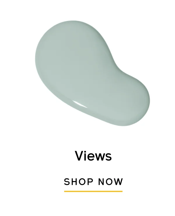 Views SHOP NOW