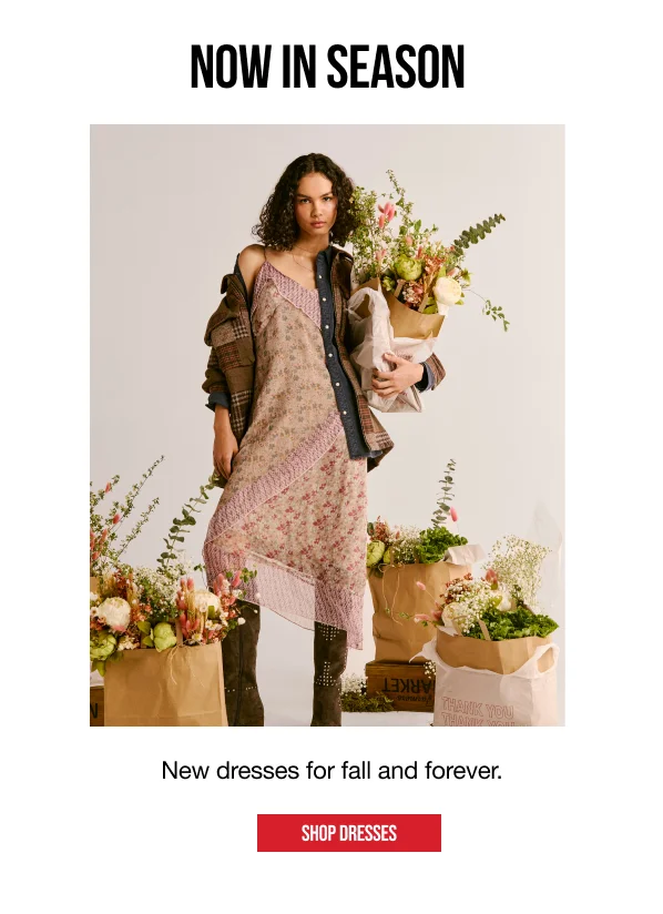 Shop Dresses