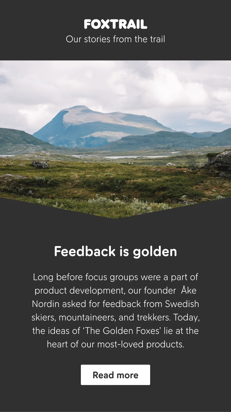 The Golden Foxes