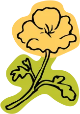 A geranium