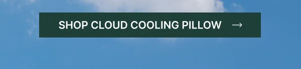 Shop Cloud Cooling Pilliow
