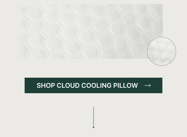 Shop Cloud Cooling Pillow