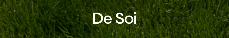 De Soi