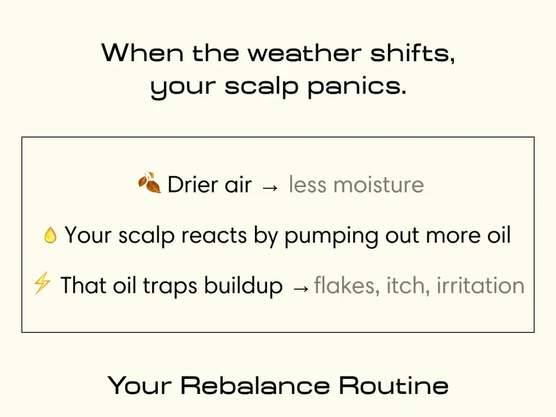 When the weather shifts, your scalp panics. &nbsp;- Drier air   &nbsp;less moisture  Your scalp reacts by pumping out more oil   That oil traps buildup  flakes, itch, irritation Your Rebalance Routine