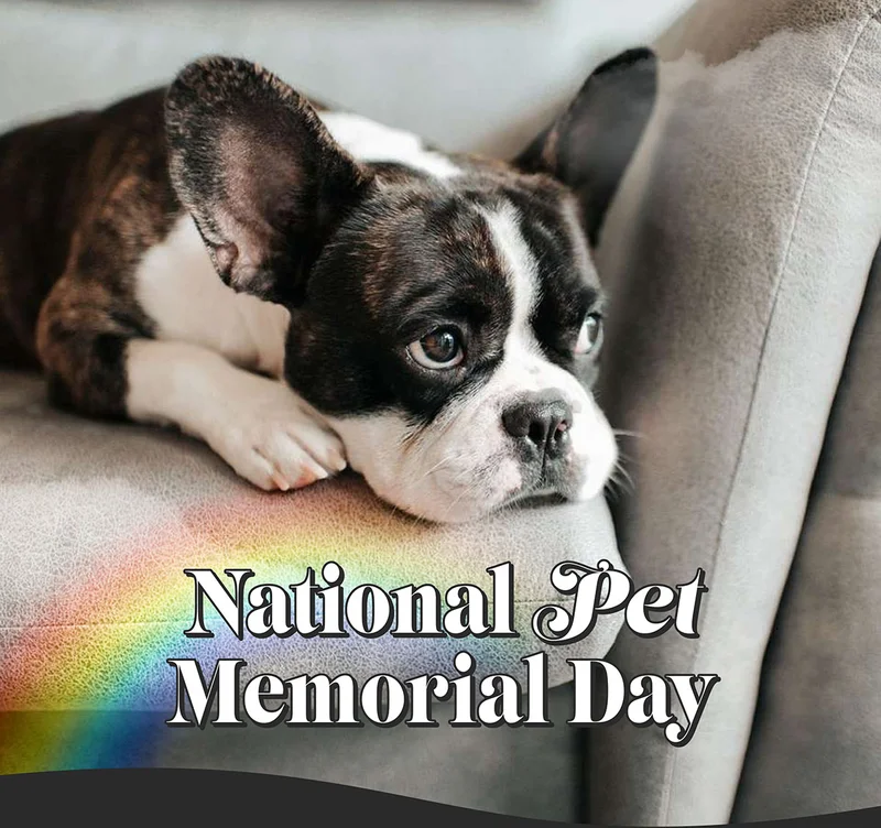National Pet Memorial Day