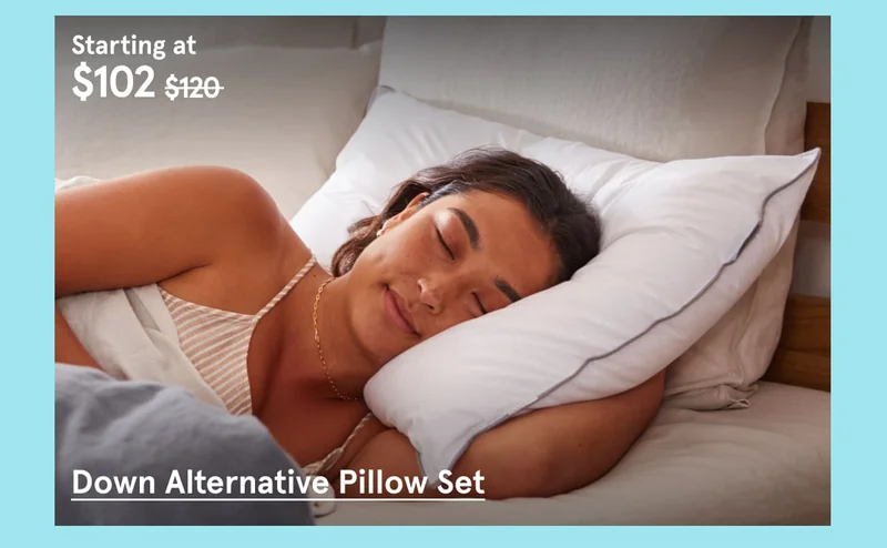 Down Alternative Pillow Set