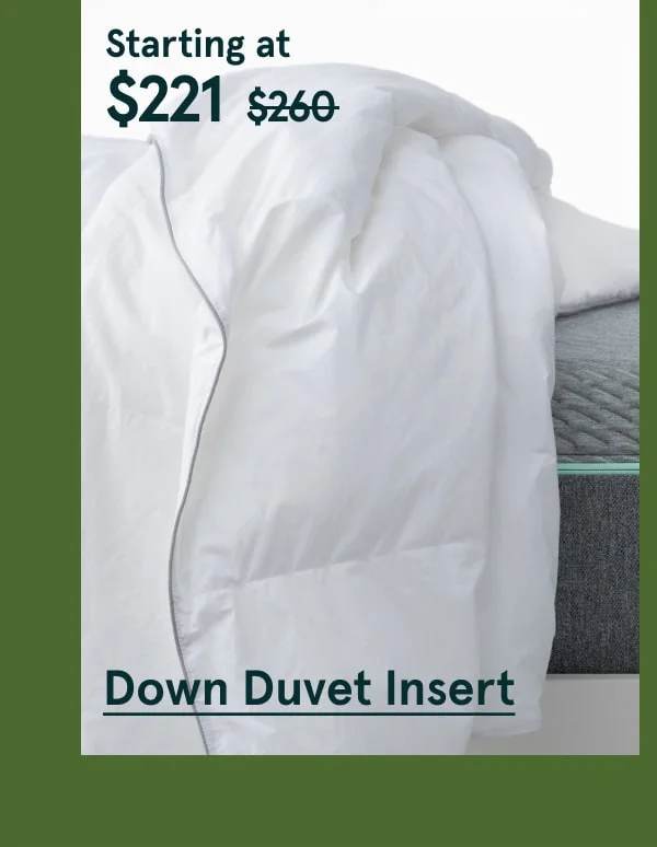 Down Duvet Insert
