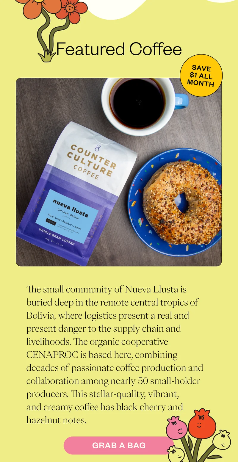 The small community of Nueva Llusta is buried deep in the remote central tropics of Bolivia, where logistics present a real and present danger to the supply chain and livelihoods. The organic cooperative CENAPROC is based here, combining decades of passionate coffee production and collaboration among nearly 50 small-holder producers. This stellar-quality, vibrant, and creamy coffee has black cherry and hazelnut notes. Grab a bag