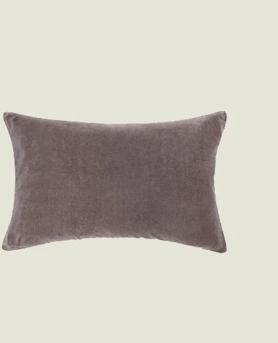 Shop Charlotte Velvet Pillow