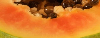 Component of AG1