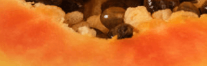 Component of AG1