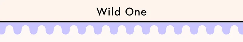 wildone.com