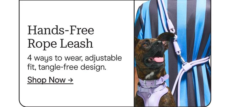 hands-free rope leash 4 ways to wear, adjustable fit, tangle-free design