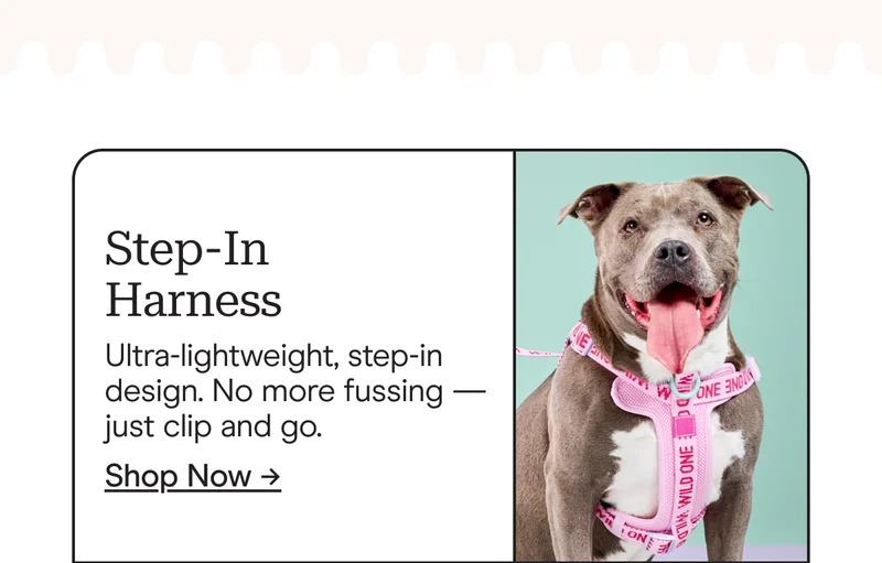 step-in harness ultra-lightweight, step-in design. no more fussing, just clip and go.