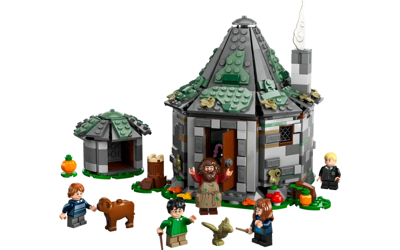 Hagrid's Hut: An Unexpected Visit