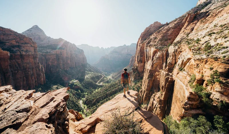 A hiker at the edge of a canyon